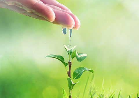 Environmental protection information